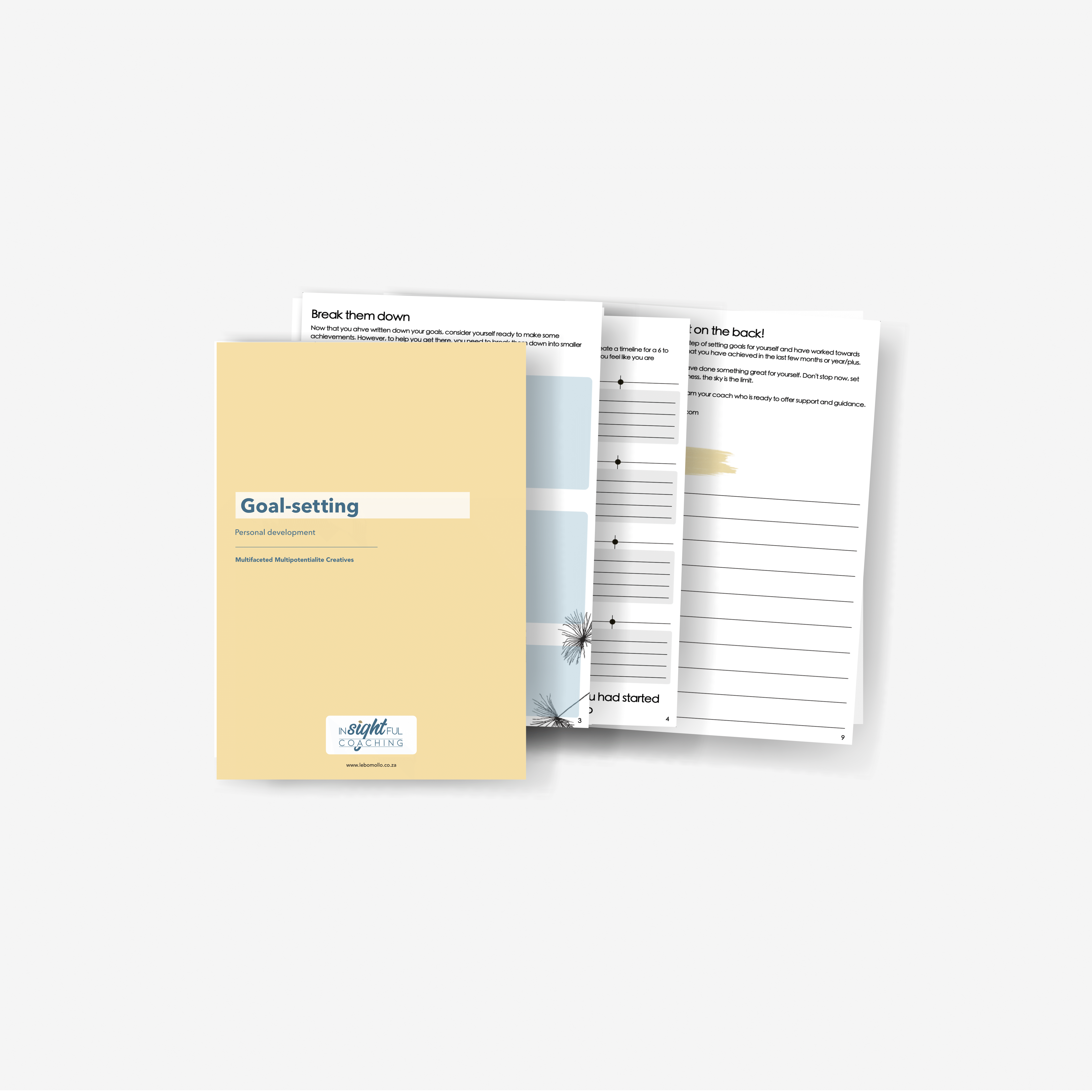 Goal Setting Guide
